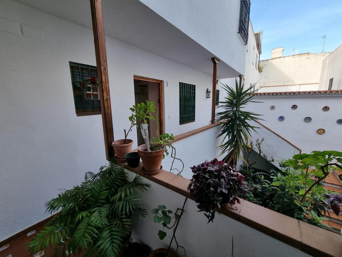 Apartamentos En Patio Cordobes San Basilio Кордоба Екстериор снимка