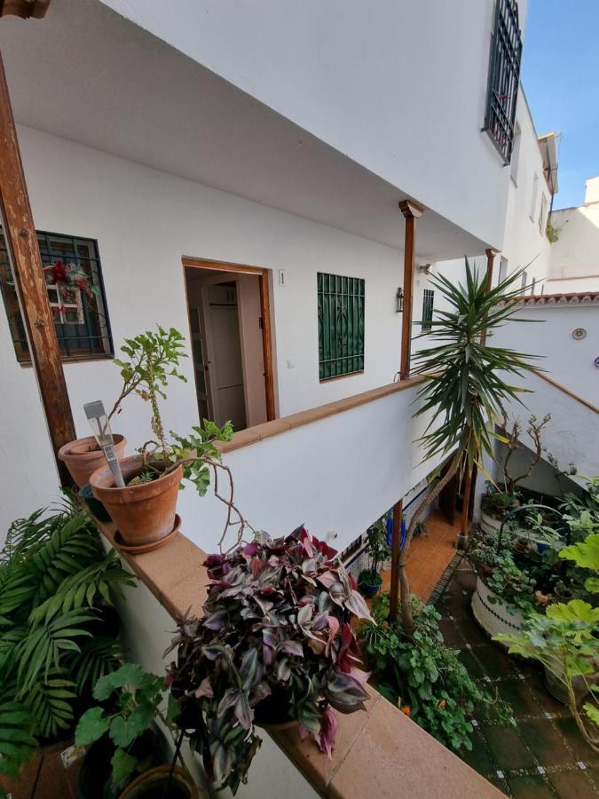 Apartamentos En Patio Cordobes San Basilio Кордоба Екстериор снимка